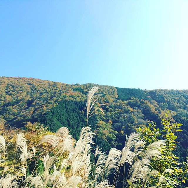 紅葉が始まってきた頃の山。#標高1300米#秋の写真♪