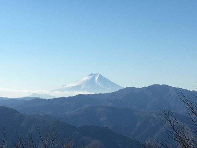 本仁田山頂⛰富士山も見えて感動☆#林業#富士山#mtfuji