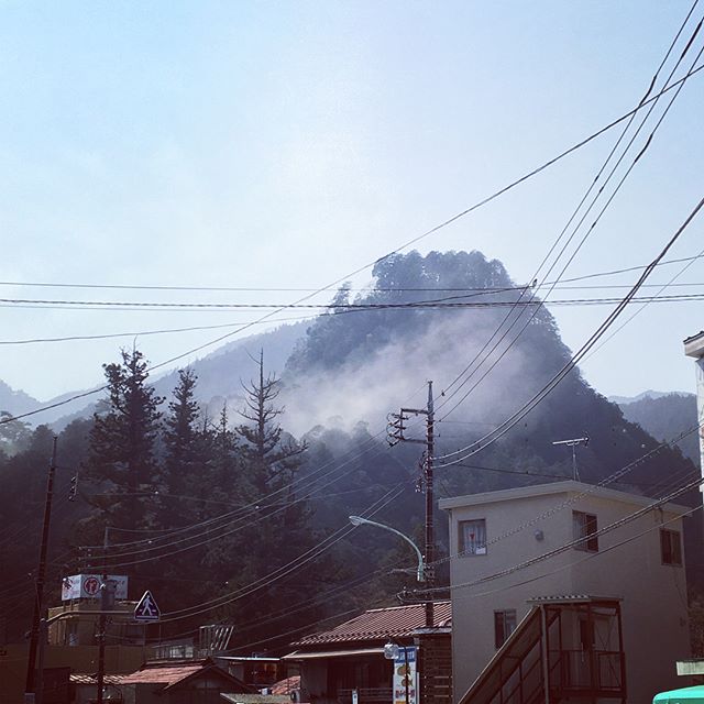 今日も花粉が凄かったな〜ಠ_ಠまるで山火事みたいだけど春の山はいい色で咲き始めたオオシマザクラもきれい^ ^