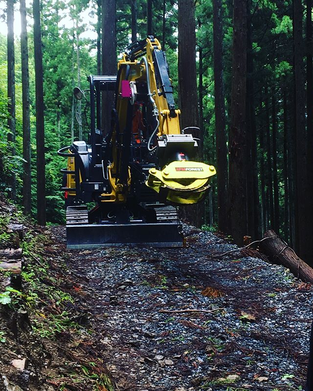 【東京型ウインチ付グラップル】試乗︎ ・#東京型低コスト林業技術研修参加してきました！#東京多摩地区の山は#傾斜が急︎な場所が多いのよネ・・#ザーザー雨がやんで🌦#山みたら#超キレイ・・#林業 #林業機械
