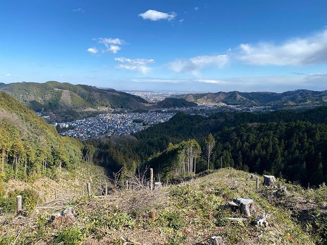 今年も植栽が始まりました。とても景色の良い現場です♫かわいいお花があった。スミレ⁇かな。